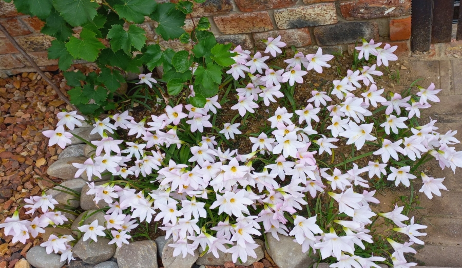 5 Bedroom Property for Sale in Dana Bay Western Cape